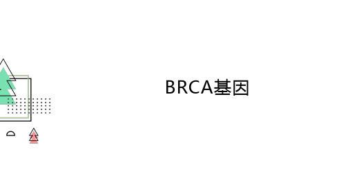 BRCA基因