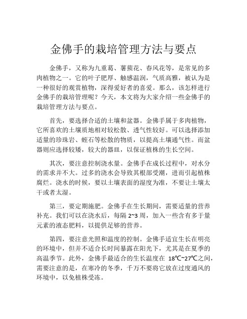 金佛手的栽培管理方法与要点