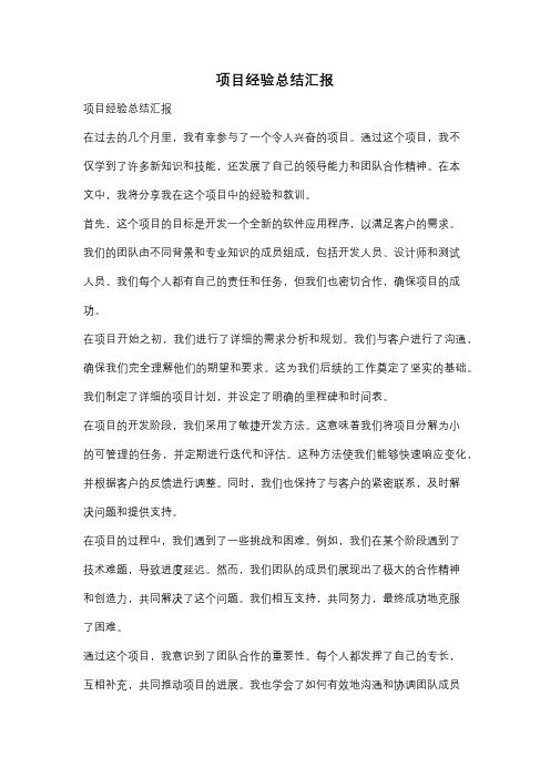 项目经验总结汇报