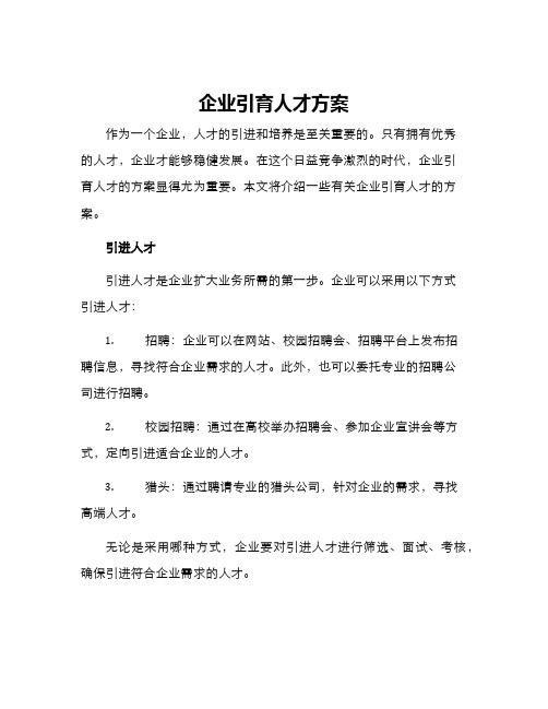 企业引育人才方案