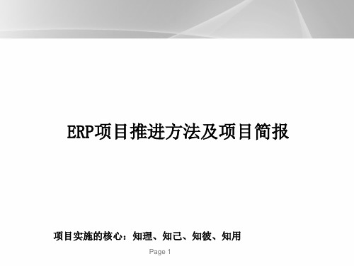 ERP项目推进方法及项目简报