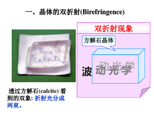 双折射偏振光的干涉