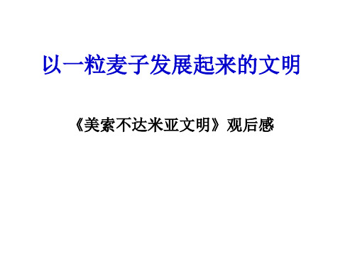 以一粒麦子发展起来的文明美索不达米亚文明观后感