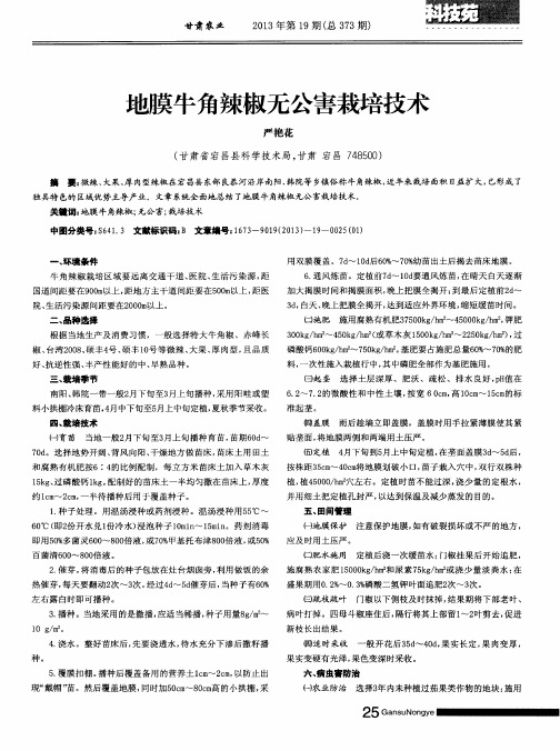 地膜牛角辣椒无公害栽培技术