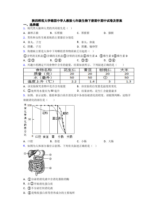 陕西师范大学锦园中学人教版七年级生物下册期中期中试卷及答案