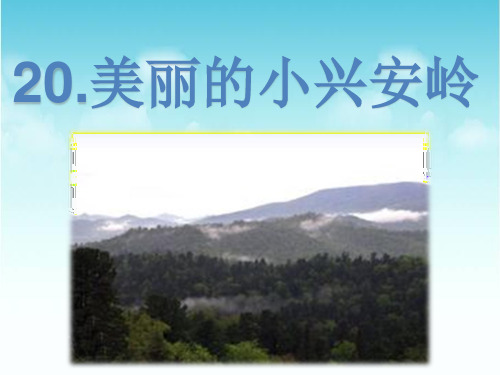 (赛课课件)三年级上册语文《美丽的小兴安岭》(共23张PPT)