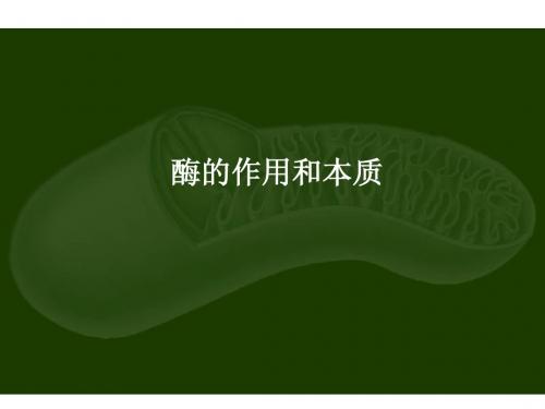 生物:5.1.1《酶的作用和本质》