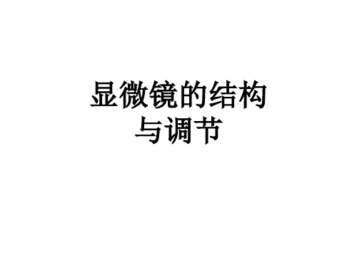 显微镜的结构及调节.ppt