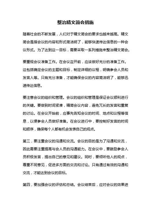 整治精文简会措施