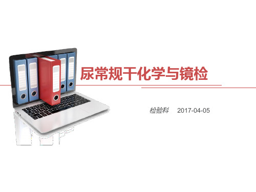 尿常规干化学与镜检