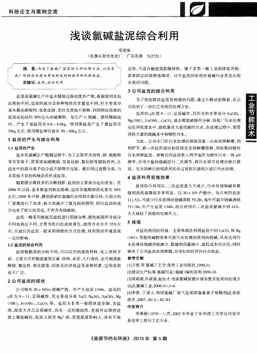 浅谈氯碱盐泥综合利用