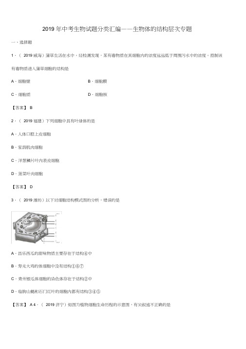 2019年中考生物试题分类汇编：生物体的结构层次专题(带答案)