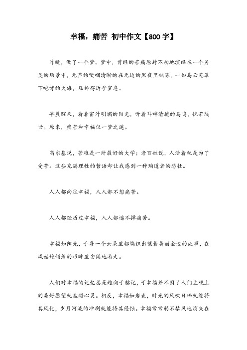 幸福,痛苦 初中作文【800字】