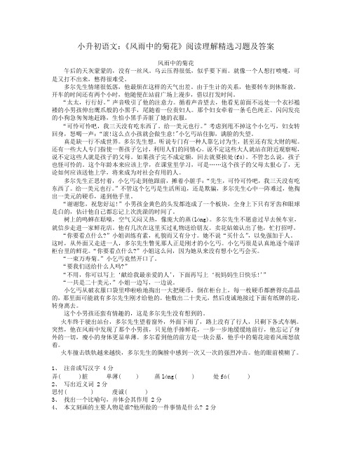 小升初语文：《风雨中的菊花》阅读理解精选习题及答案