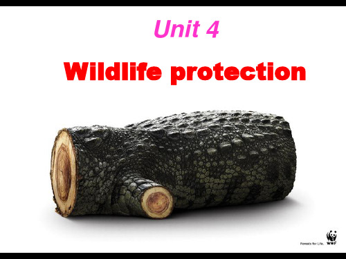 人教版高中英语 必修二 Unit4 《Wildlife  protection  ---Reading》(共28张PPT)