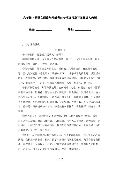 六年级上册语文阅读与理解考前专项练习及答案部编人教版