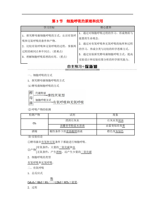 2019-2020年新教材高中生物 第5章 第3节 细胞呼吸的原理和应用教案 新人教版必修1