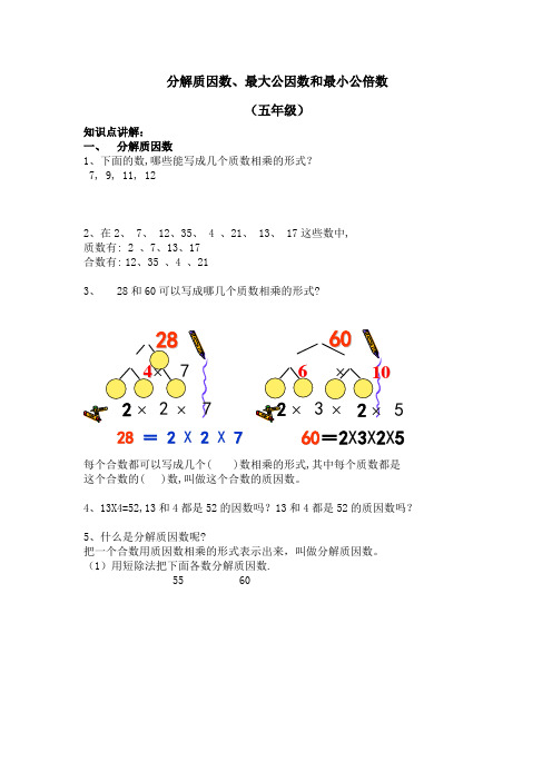 分解质因数、最大公因数和最小公倍数知识点练习