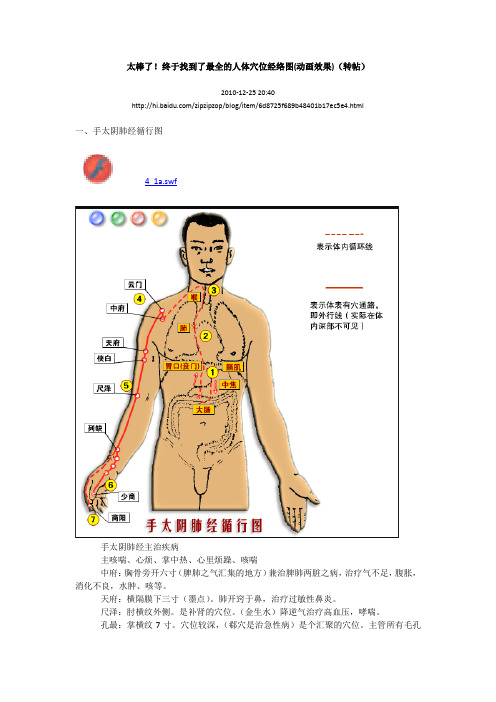 人体穴位经络图(动画效果)