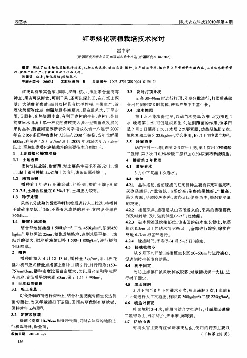 红枣矮化密植栽培技术探讨