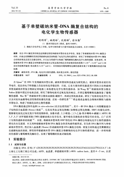 基于单壁碳纳米管-DNA酶复合结构的电化学生物传感器