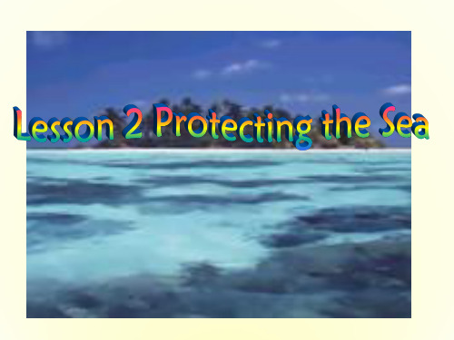 高中英语Unit7 《The Sea-lesson2 Protecting the sea》复习课件(必修3)