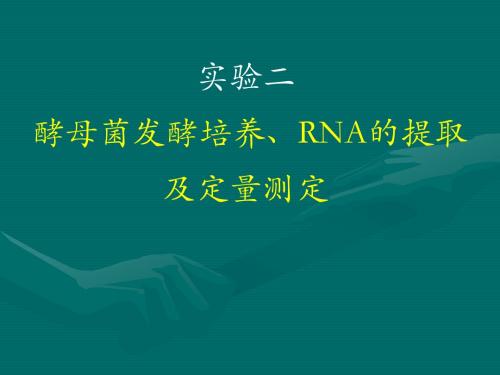 实验二___酵母菌发酵培养、RNA的提取及定量测定