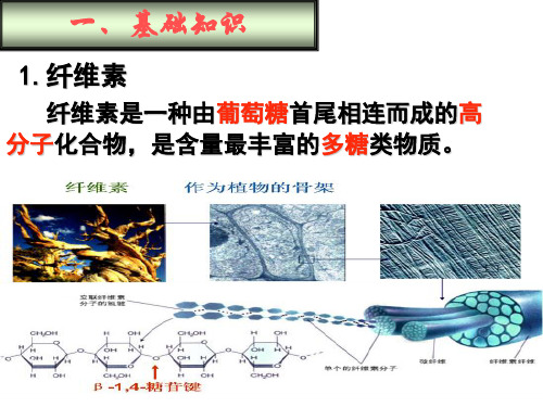 课题3分解纤维素微生物的分离