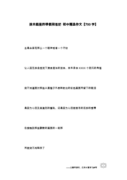 抹去眼里的徘徊和苍茫 初中精选作文【700字】