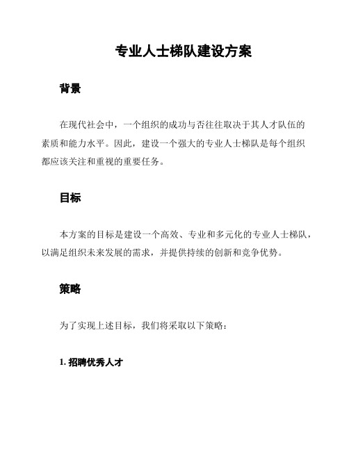 专业人士梯队建设方案