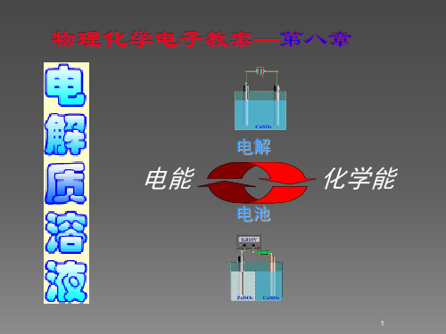 电解质溶液ppt课件