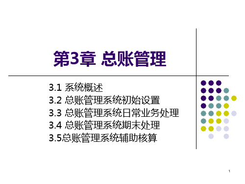 会计信息系统总账管理PPT课件