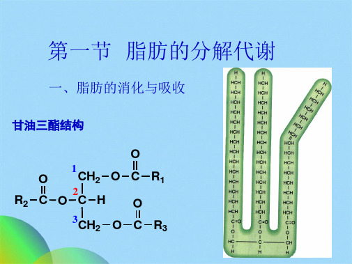 生物化学第七章脂类代谢(共82张PPT)