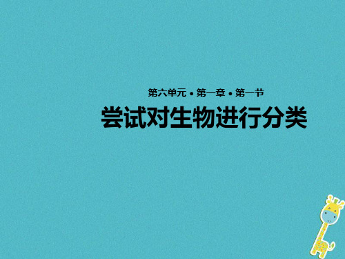 初中生物  八年级生物上册(21份) 人教版17精品课件