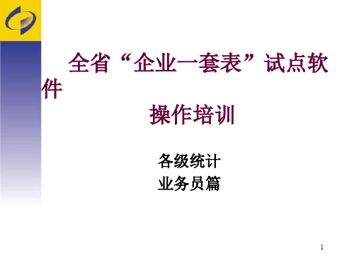 全省企业一套表试点软件实际操作指导培训