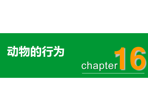 16.1先天性行为和后天学习行为