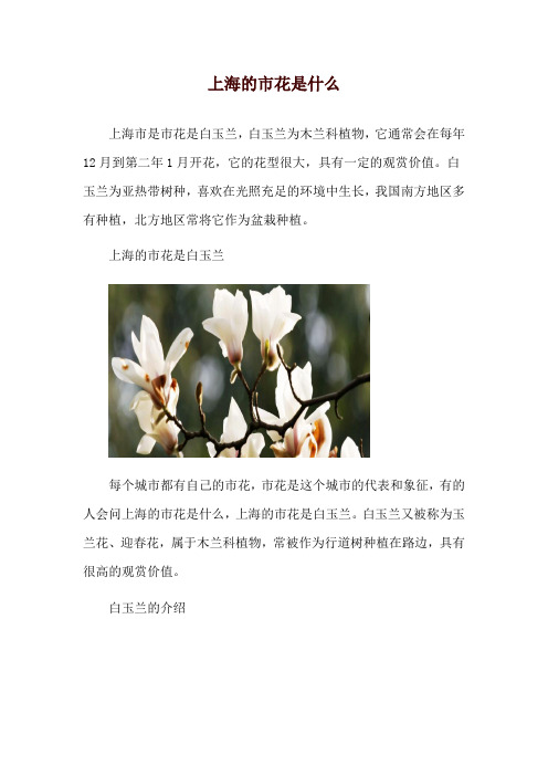 上海的市花是什么