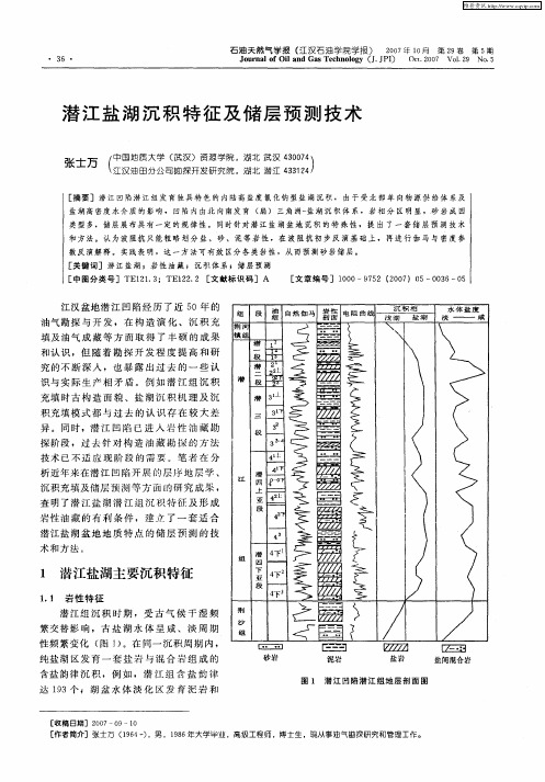 潜江盐湖沉积特征及储层预测技术