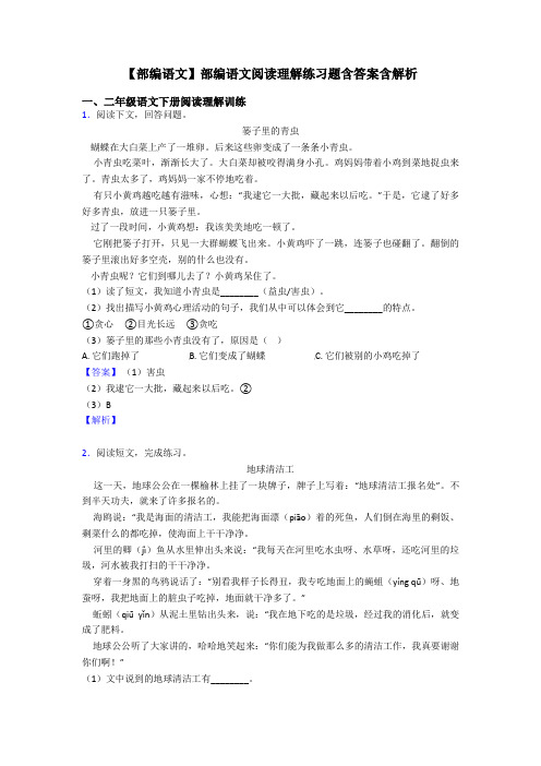 二年级【部编语文】部编语文阅读理解练习题含答案含解析