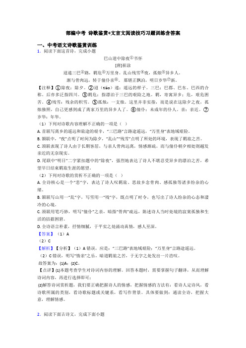 部编中考 诗歌鉴赏+文言文阅读技巧习题训练含答案