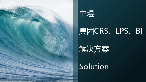 中煜集团crs、lps、bi解决方案solutioncrs、lps、bi雅阁度假酒店