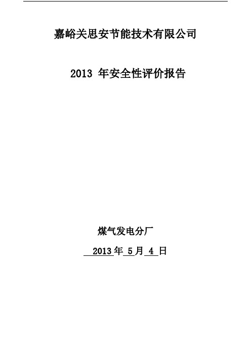 2013 年安全性评价报告