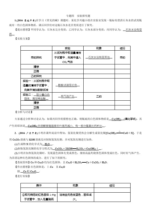 专题四 实验探究题精练