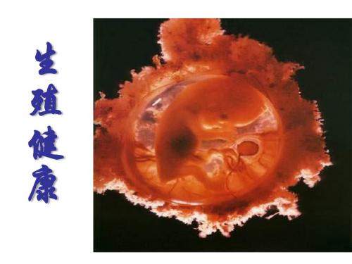 高一生物生殖健康1(教学课件2019)