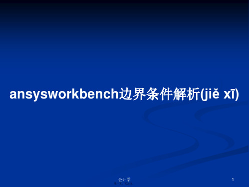 ansysworkbench边界条件解析学习教案