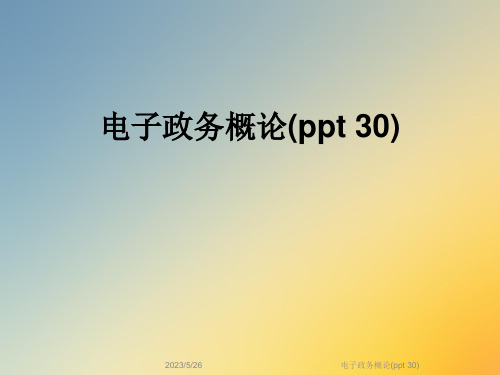 电子政务概论(ppt-30)