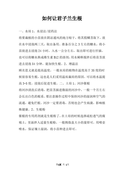如何让君子兰生根