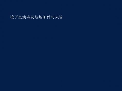 梭子鱼病毒及垃圾邮件防火墙产品介绍(PPT43张)