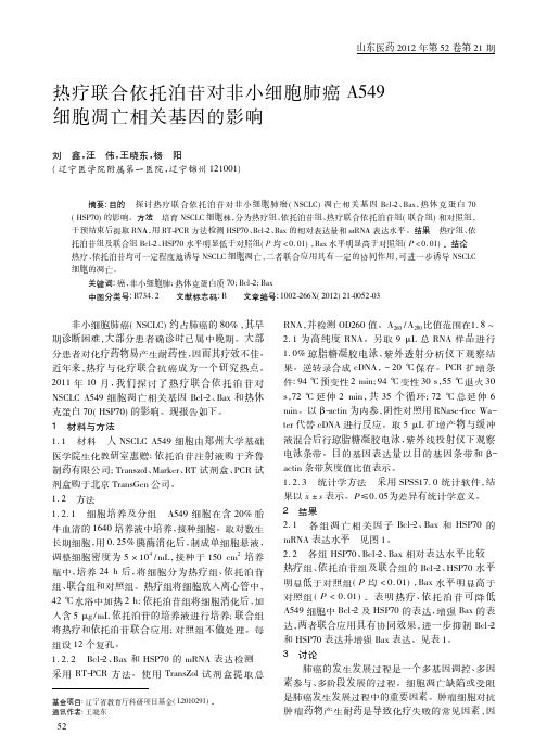 热疗联合依托泊苷对非小细胞肺癌A549细胞凋亡相关基因的影响