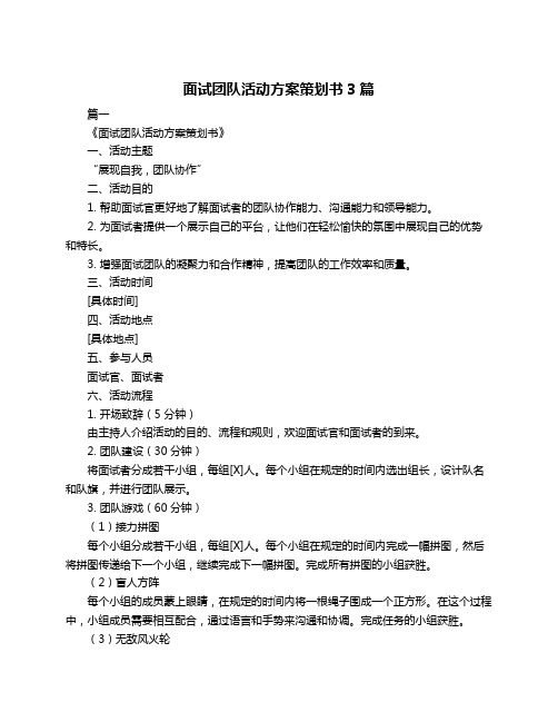 面试团队活动方案策划书3篇